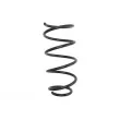 Ressort de suspension MAGNUM TECHNOLOGY [SB155]