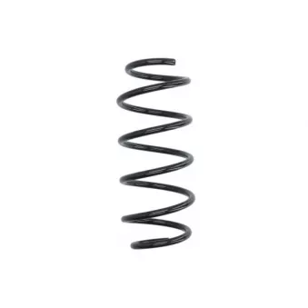 Ressort de suspension MAGNUM TECHNOLOGY SG220 pour FORD FIESTA 1.25 - 82cv