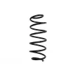 Ressort de suspension MAGNUM TECHNOLOGY [SP106]