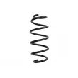 Ressort de suspension MAGNUM TECHNOLOGY [SW199]