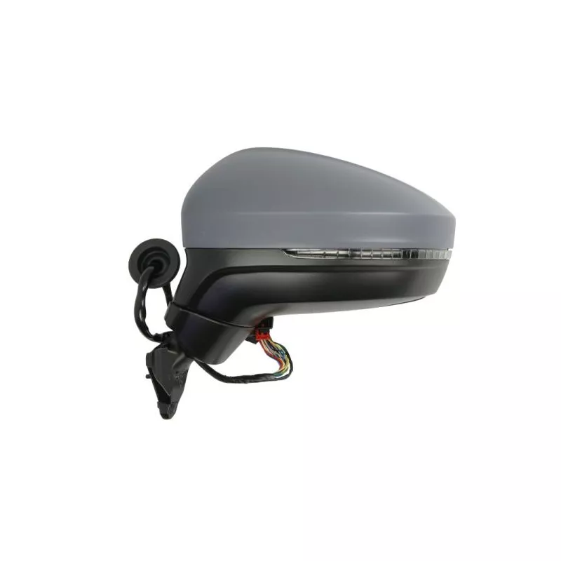 Rétroviseur extérieur BLIC 5402-01-1609312P - Visuel 1