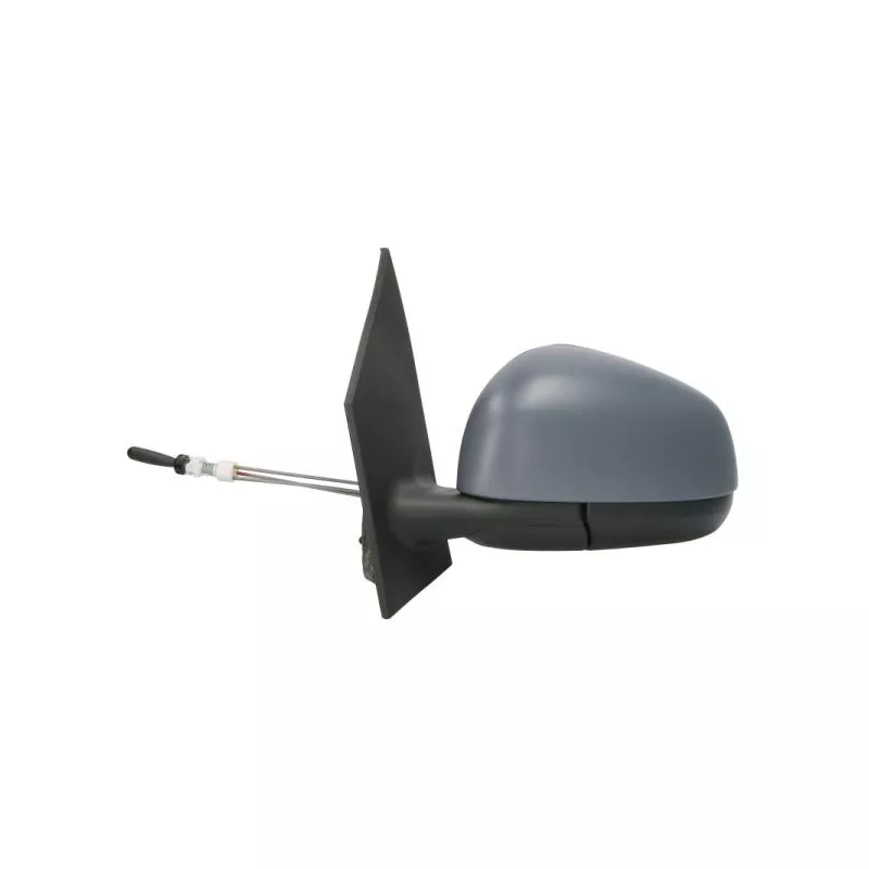 Rétroviseur extérieur BLIC 5402-02-1326312P - Visuel 1