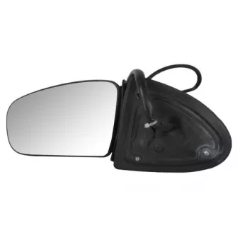 BLIC 5402-02-2002877P - Rétroviseur extérieur