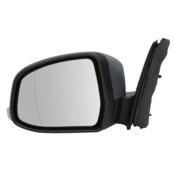 Rétroviseur extérieur BLIC OEM 1766651