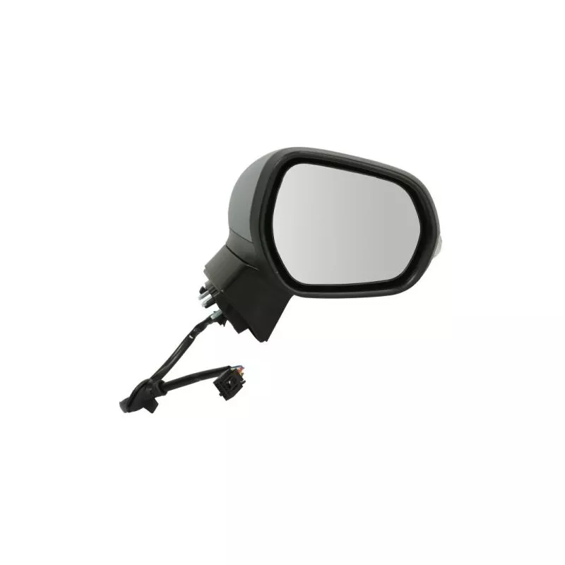 Rétroviseur extérieur BLIC 5402-03-1892362P - Visuel 1