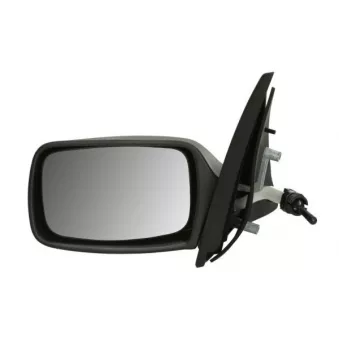 BLIC 5402-03-2002823P - Rétroviseur extérieur