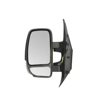 Rétroviseur extérieur BLIC OEM 963021976R
