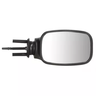 Rétroviseur extérieur BLIC 5402-04-1113951P