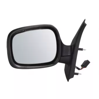 Rétroviseur extérieur BLIC OEM 7701048401