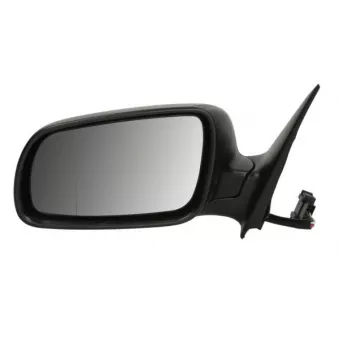 Rétroviseur extérieur BLIC 5402-04-1125522P pour SKODA FABIA 1.2 - 64cv