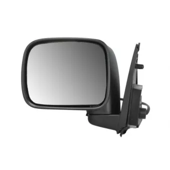 Rétroviseur extérieur BLIC 5402-04-1125552P pour NISSAN TERRANO 2.4 4WD - 116cv