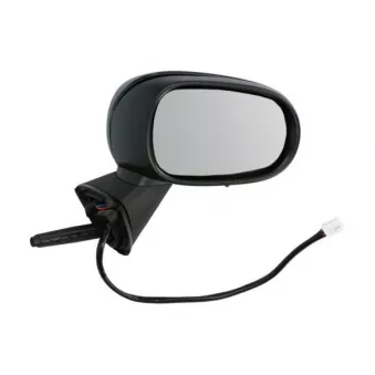 Rétroviseur extérieur BLIC OEM 7701065902