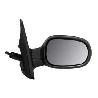Rétroviseur extérieur BLIC OEM 7700435864