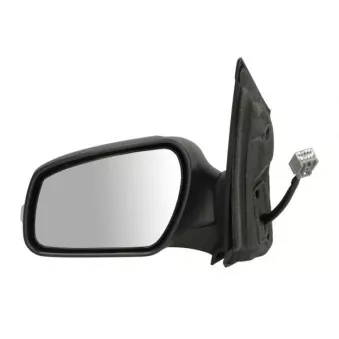 Rétroviseur extérieur BLIC OEM 1439073