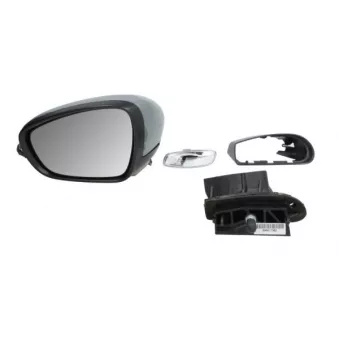 Revêtement, rétroviseur extérieur BLIC OEM 1607031780