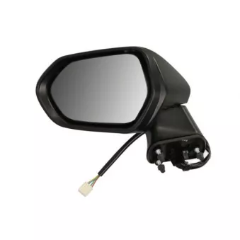 BLIC 5402-04-2176314P - Rétroviseur extérieur