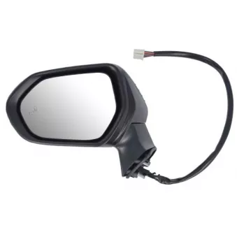 Rétroviseur extérieur BLIC 5402-04-2176318P