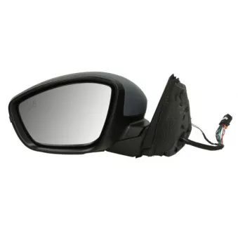 Rétroviseur extérieur BLIC 5402-04-2440312P