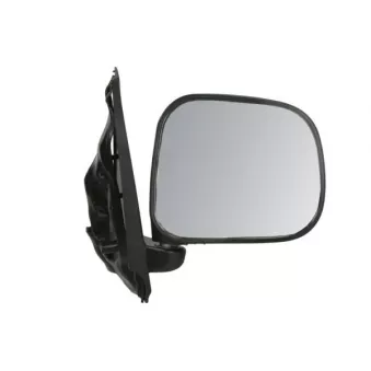 Rétroviseur extérieur BLIC OEM 963017C976