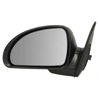 Rétroviseur extérieur BLIC 5402-04-9927135P pour FORD TOURNEO 1.4 - 109cv