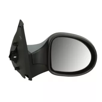 Rétroviseur extérieur BLIC OEM 7701067340