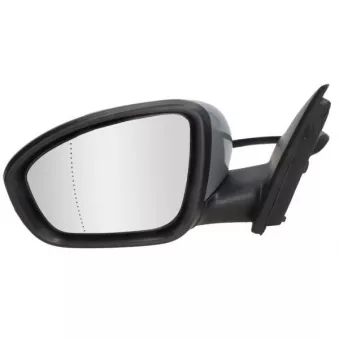 Rétroviseur extérieur BLIC OEM 963027851R