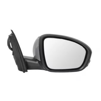 Rétroviseur extérieur BLIC OEM 963012196R