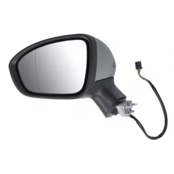 Rétroviseur extérieur BLIC OEM 963026687R