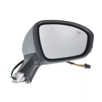 Rétroviseur extérieur BLIC OEM 963017280R