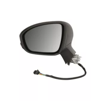 Rétroviseur extérieur BLIC OEM 963026687R