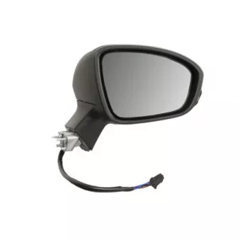 Rétroviseur extérieur BLIC OEM 963011854R