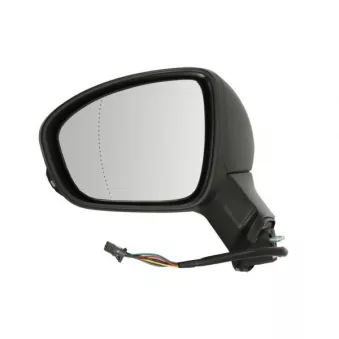 Rétroviseur extérieur BLIC OEM 963027811R