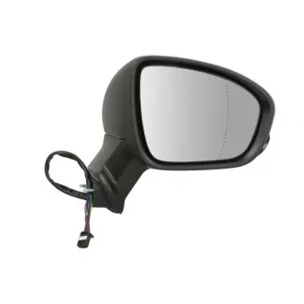 Rétroviseur extérieur BLIC 5402-09-2345311P