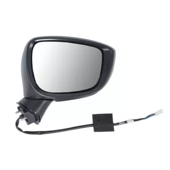 Rétroviseur extérieur BLIC 5402-14-0770313P