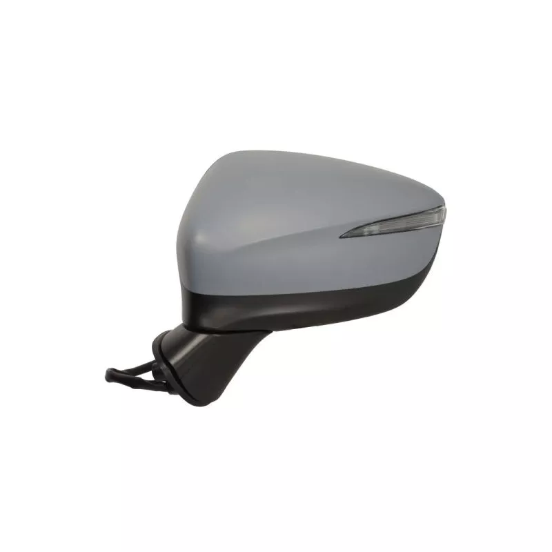 Rétroviseur extérieur BLIC 5402-14-0770324P - Visuel 1