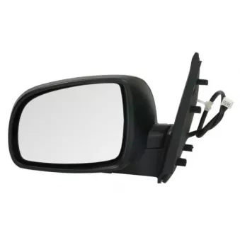 Rétroviseur extérieur BLIC OEM 963029U325