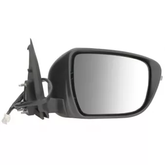 Rétroviseur extérieur BLIC 5402-16-0967311P