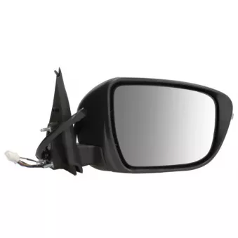 Rétroviseur extérieur BLIC 5402-16-0967313P pour NISSAN JUKE dCi - 110cv