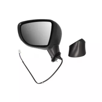 Rétroviseur extérieur BLIC OEM 963025FA0B