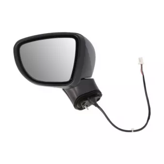 Rétroviseur extérieur BLIC OEM 963025FA0B