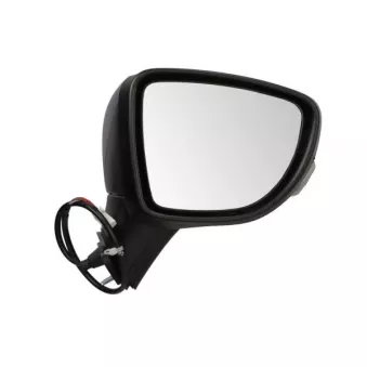 Rétroviseur extérieur BLIC OEM 963015FA0B
