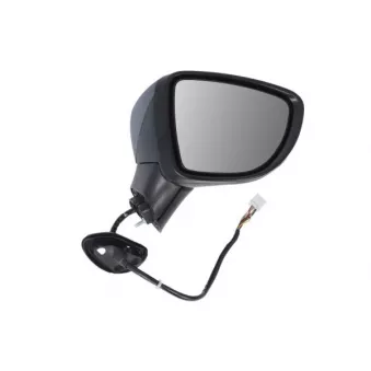 Rétroviseur extérieur BLIC 5402-16-2104319P pour NISSAN MICRA 1.5 DCI - 90cv