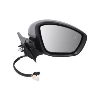 Rétroviseur extérieur BLIC OEM 98267136XT