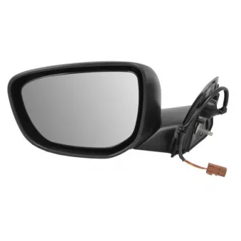 Rétroviseur extérieur BLIC OEM 98016916XT