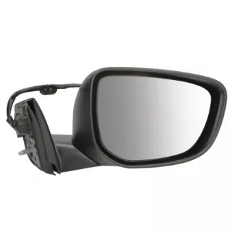 Rétroviseur extérieur BLIC OEM 98016919XT