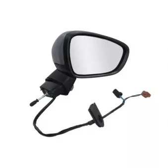 Rétroviseur extérieur BLIC OEM 8154AY