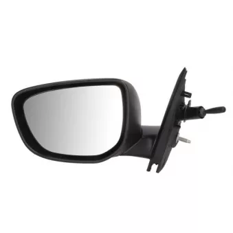 Rétroviseur extérieur BLIC OEM 1609065080