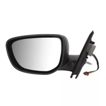 Rétroviseur extérieur BLIC OEM 1609065080
