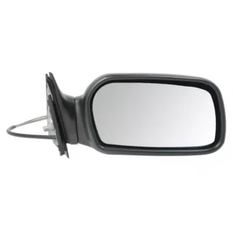 Rétroviseur extérieur BLIC OEM 4A1857536A