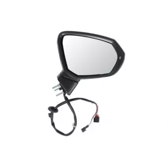 Rétroviseur extérieur BLIC 5402-25-0067313P